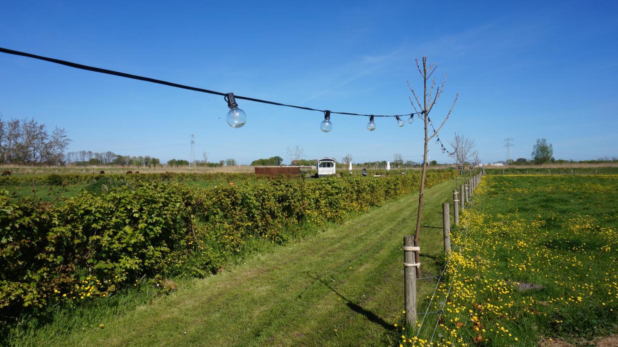 Bed And Breakfast Het Schapenlandje Waarland Exterior photo
